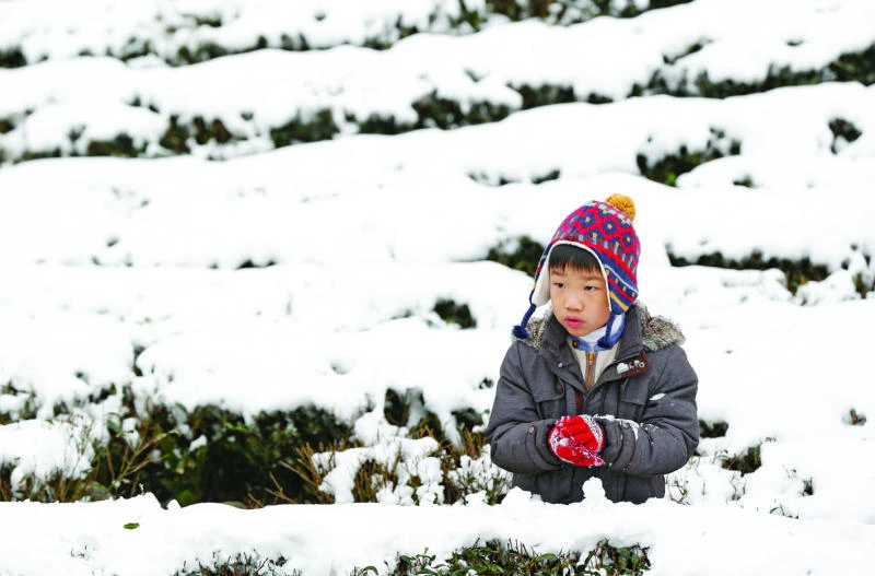 East Asia cold snap ‘kills more than 85 in Taiwan’