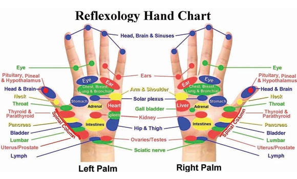 Rediscovering reflexology: A helping hand to everyone