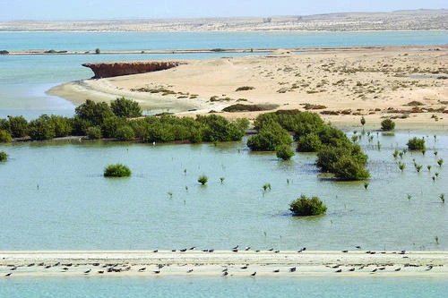 Investment in islands urged