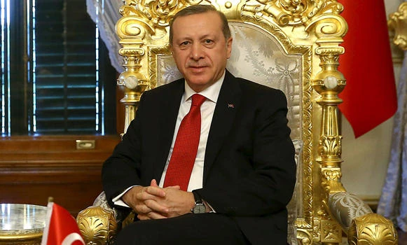 Turkish professor to stand trial for insulting Erdogan