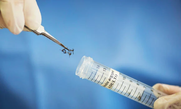 Brazil babies suffering eye damage due to Zika