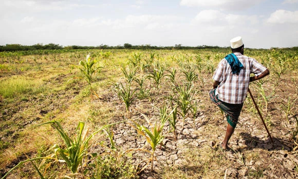 Millions of Ethiopians facing worst drought for decades: UN