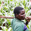 Farmers and climate change