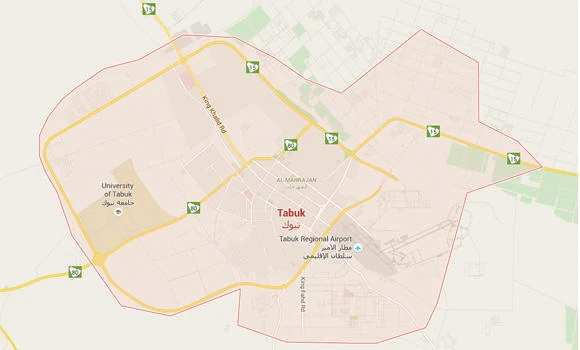 Grave concern: Tabuk treasure hunters desecrating the dead