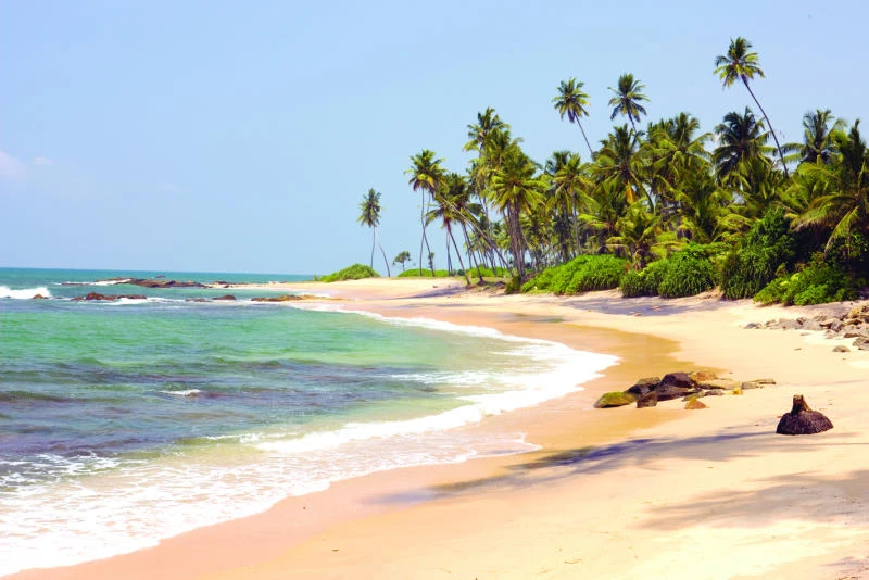 Vibrant tourism industry gains from scenic beauty