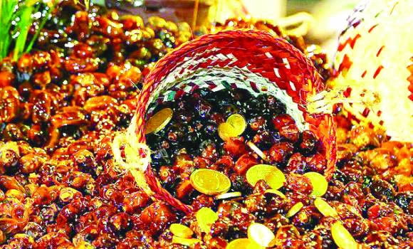 ‘Oasis of dates’ to tap world market through festival