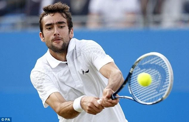 Cilic makes winning start in Rotterdam