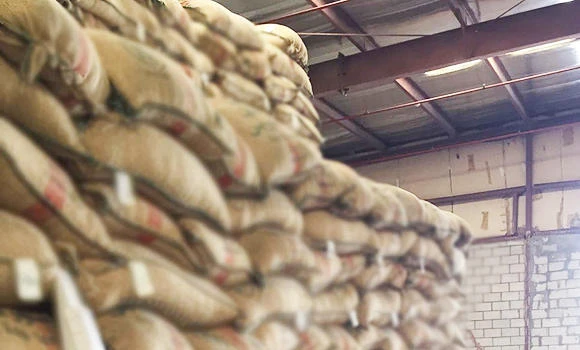 75,000 tons of rice wasted annually in Kingdom