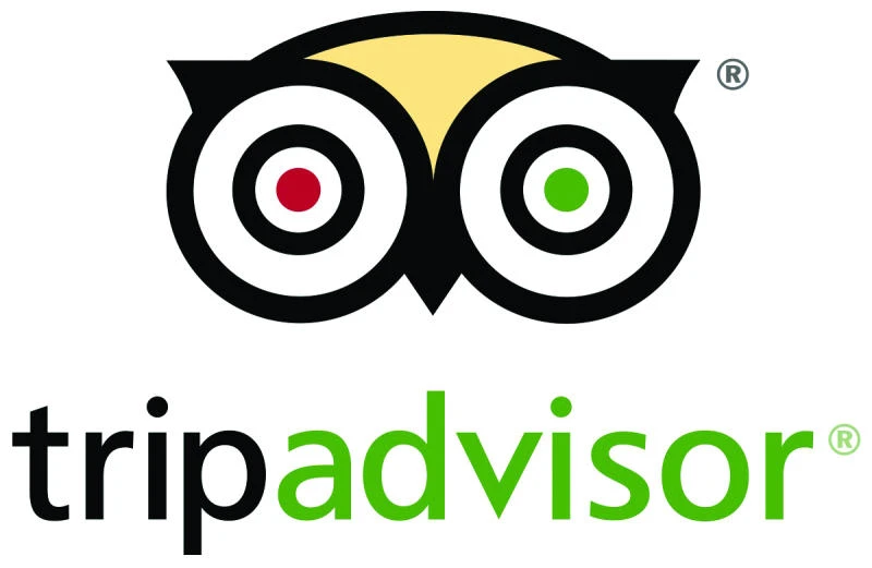 TripAdviser earns more from display ads