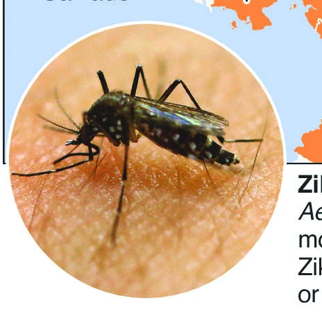 Brazil hopes to develop Zika vaccine in a year