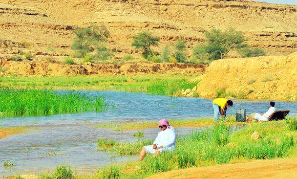 KSA’s water consumption surpasses global average
