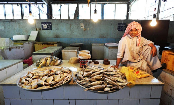 Fish prices fall by 50% in EP