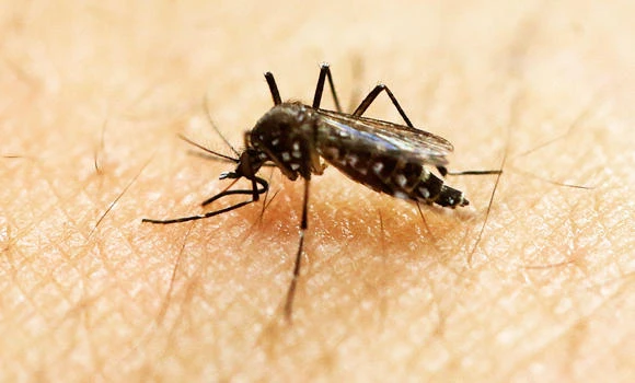 Govt steps up efforts to fight Zika virus
