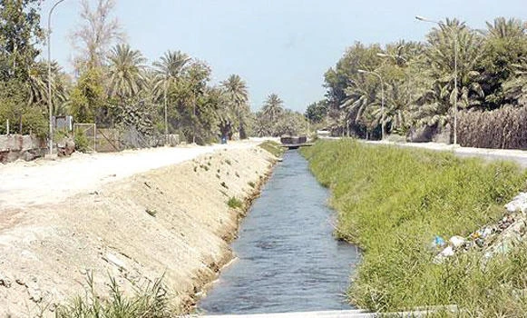 Citizens urge development of endowment land in Qatif