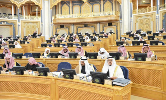 Shoura members speak out against telecom regulator