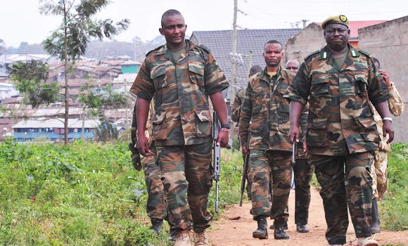 Lions wander into Kenyan capital