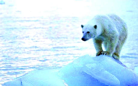 Sea level rising at fastest pace in 2,800 years: Study