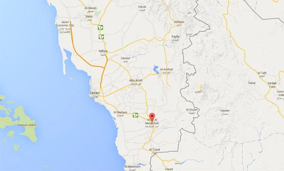 Mentally-ill man kills son, school principal sacked