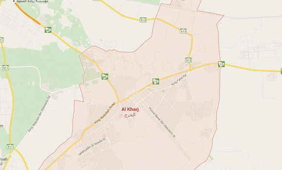 Saudi-French team discovers Bronze Age site in Al-Kharj