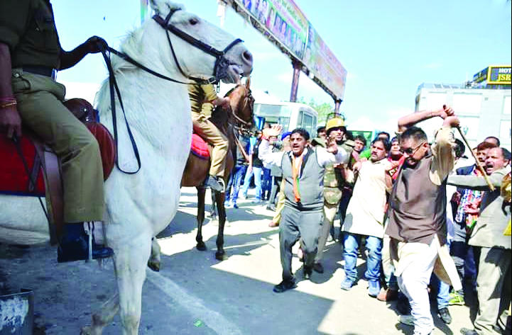 A tale of 2 horses