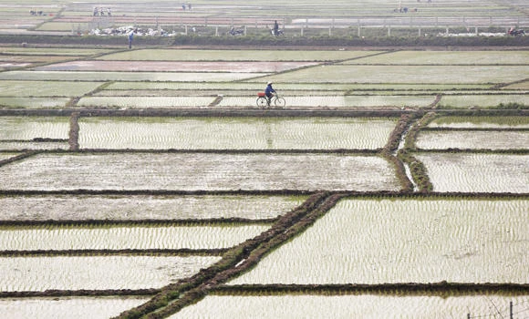 Vietnam hit by worst drought in 90 years