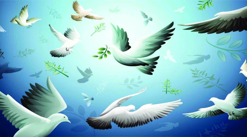 Tolerance is Islam’s cardinal principle
