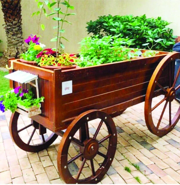 Promoting green culture