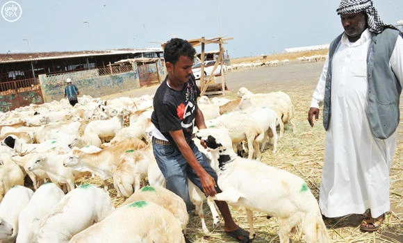 14-point plan to check deadly virus