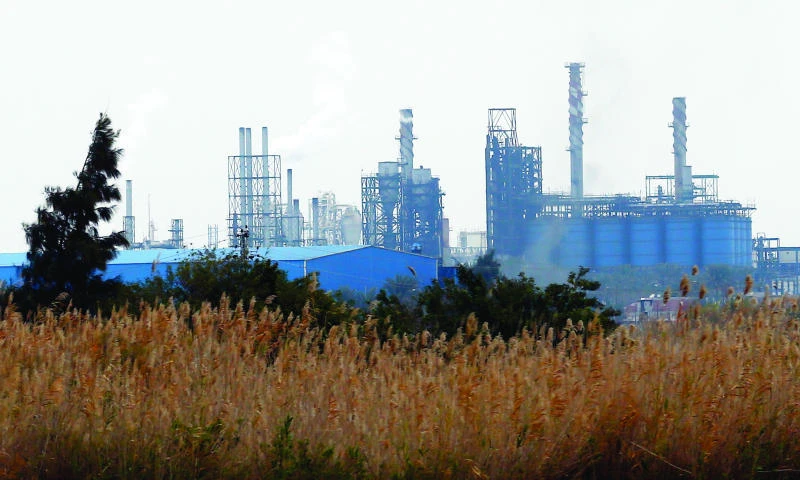 Oil prices steadier