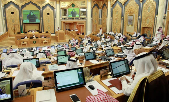 Shoura member slams govt supervisory body