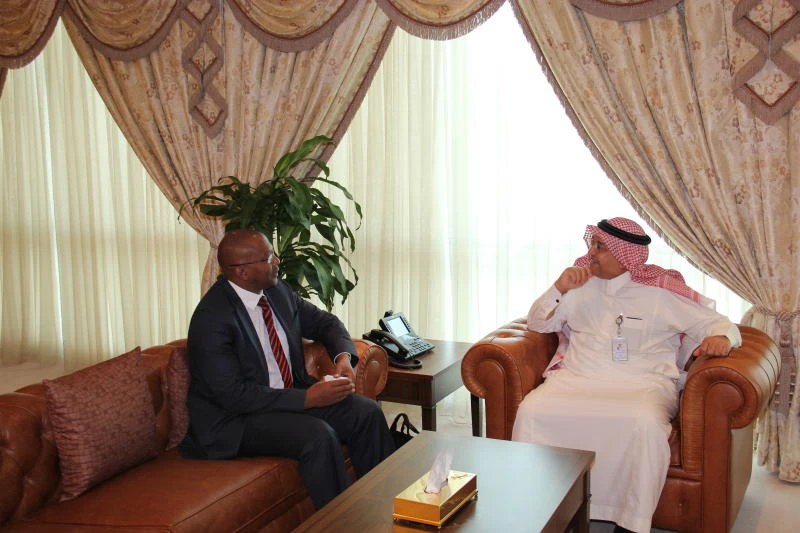 KSA, South Africa discuss renewable energy cooperation