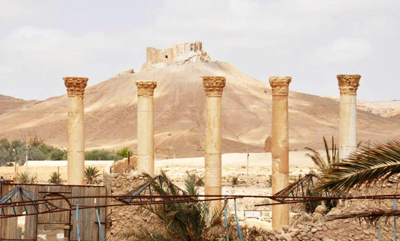 ‘Very doubtful’ Palmyra can be restored: Expert