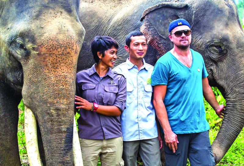 Into the wild: DiCaprio visits Indonesian jungle