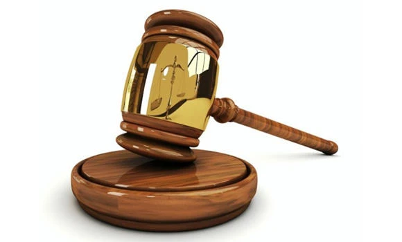 Saudi gets 12 years for terrorism