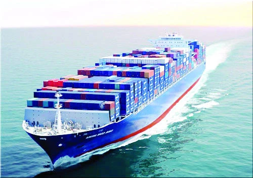 UK shipping sector risks sinking fortunes if Brexit prevails