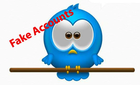 Number of fake Twitter accounts causes concern