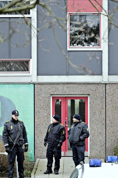 Denmark detains 4 ‘Daesh fighters,’ seize weapons
