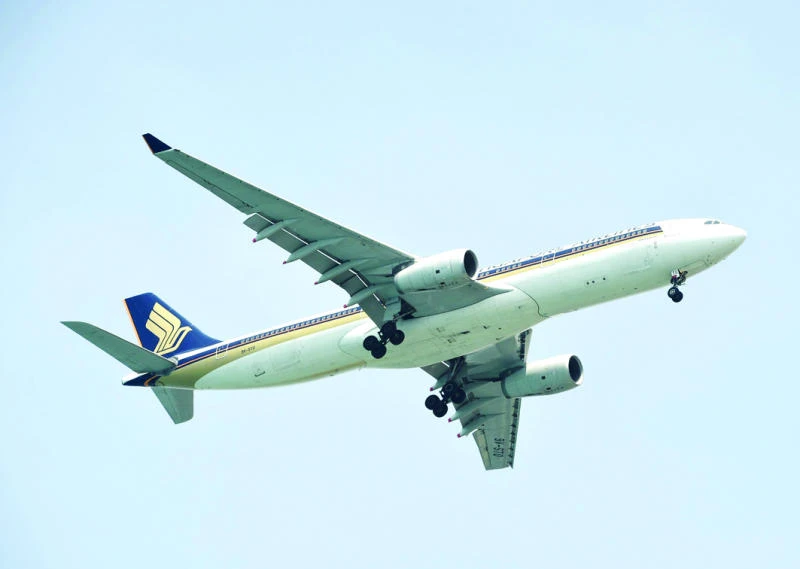 France, Germany halt Airbus export credit