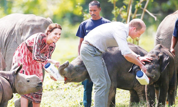 William, Kate discover wild side of India on safari