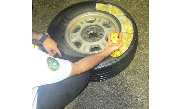 Smuggle bids foiled, 589 kg of cannabis seized