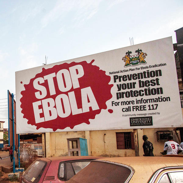 The return of yellow fever