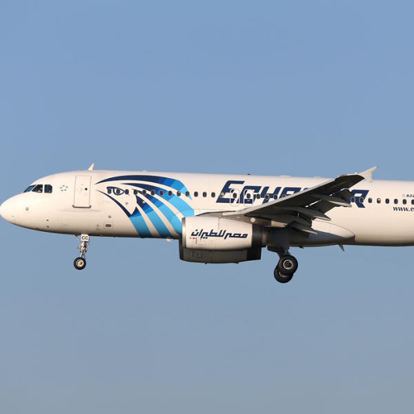 Who killed MS804?