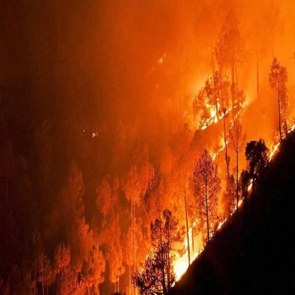Protecting ecosystems and biodiversity
