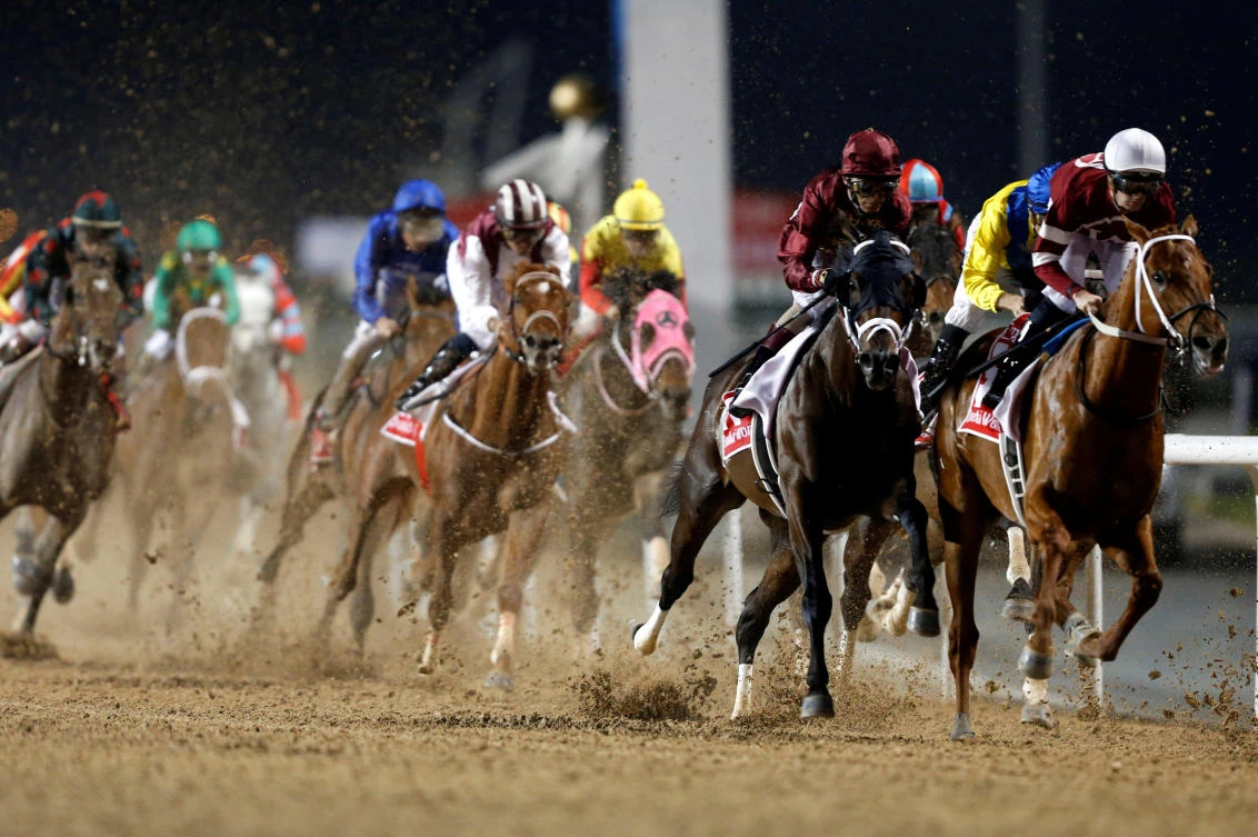 Meydan Racecourse, Dubai - Riders compete in the final race. (REUTERS)