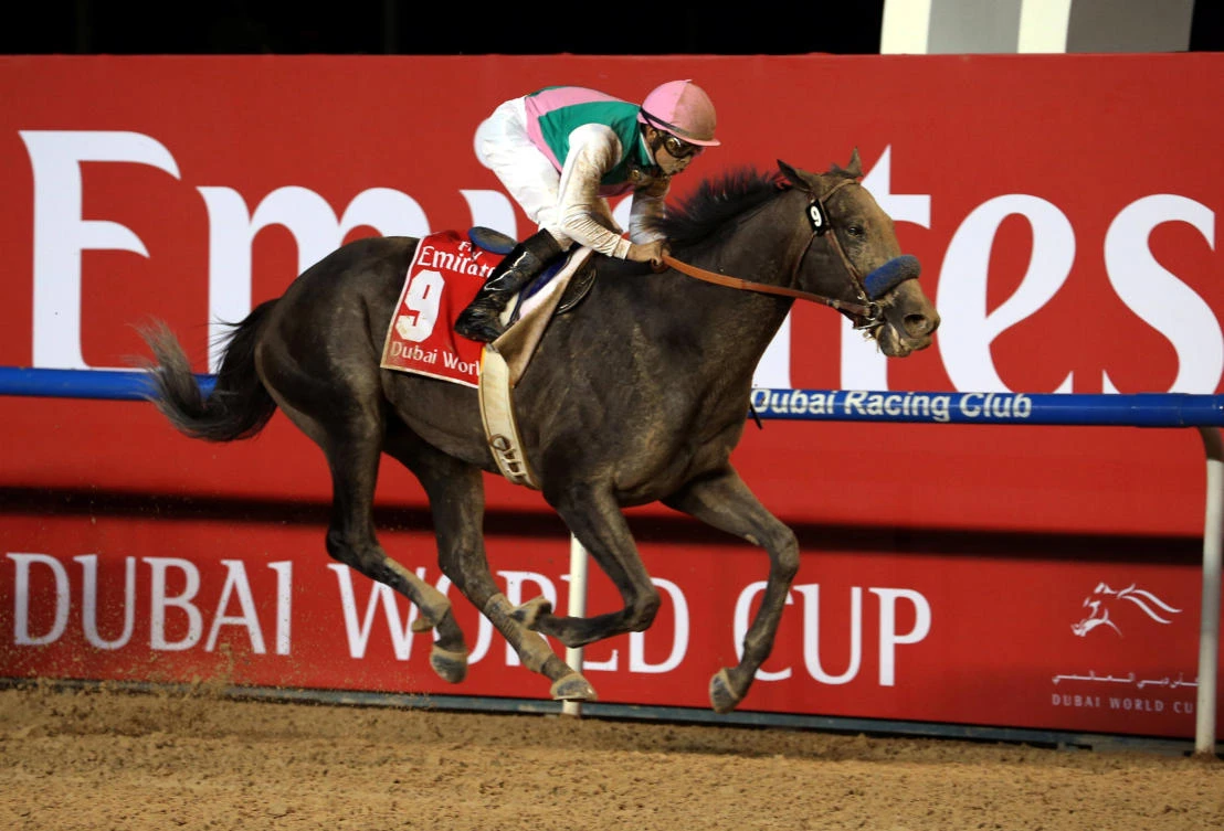 Meydan Racecourse, Dubai -Mike Smith rodes Arrogate to the finish line to win the ninth and final race. (REUTERS)