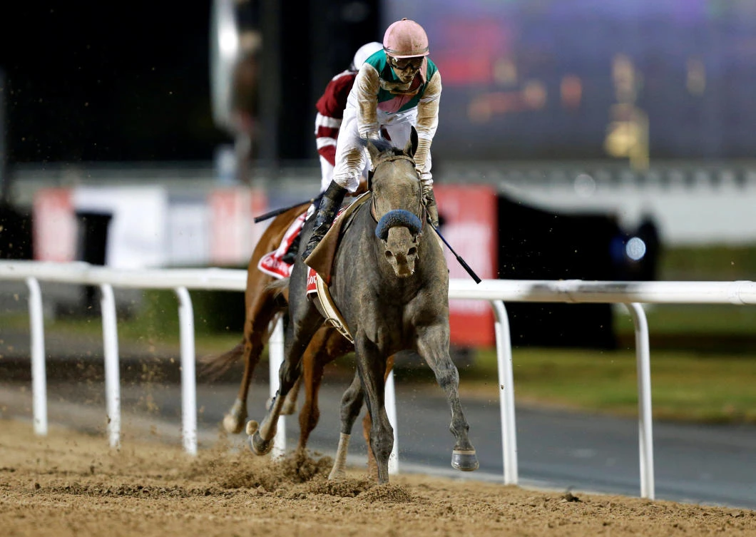 Meydan Racecourse, Dubai Mike Smith rides Arrogate to the finish line to win the ninth and final race. (REUTERS)