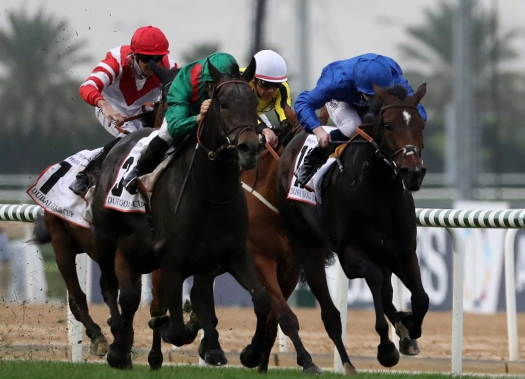 Jockey Christophe Soumillon rides Vazirabad (Front-Left) to win the Dubai Gold Cup at the Dubai World Cup in the Meydan Racecourse in Dubai. (AFP)