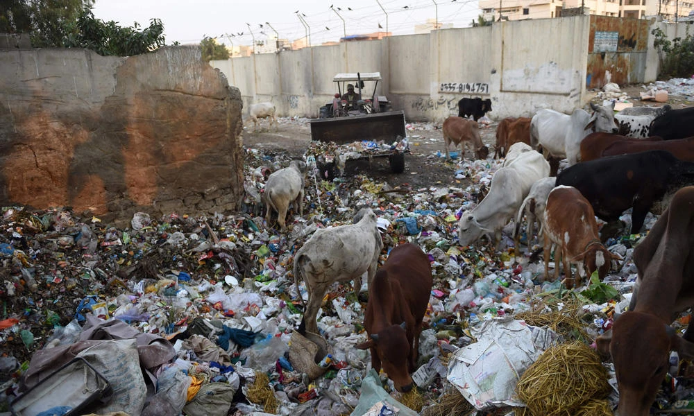 Pakistan’s financial capital Karachi turned ‘into rubbish bin’