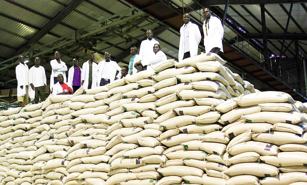 Workers stand on top of bags of sugar at the Mumias sugar factory in western Kenya. (Reuters file photo)
