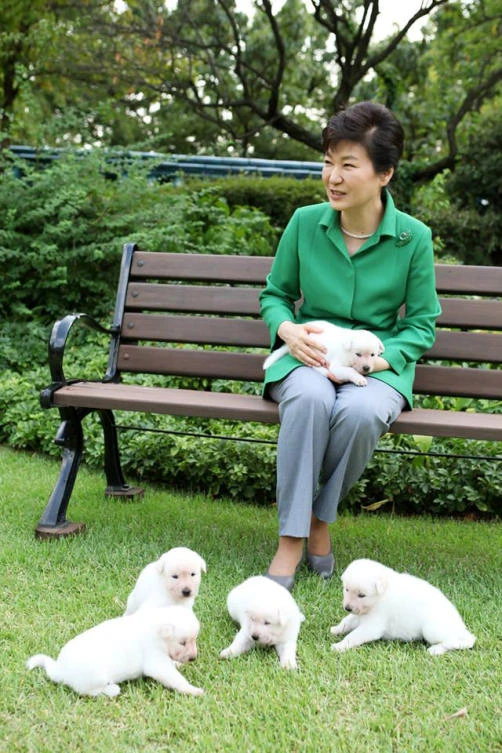 South Korea to hold vote on May 9 to pick Park’s successor